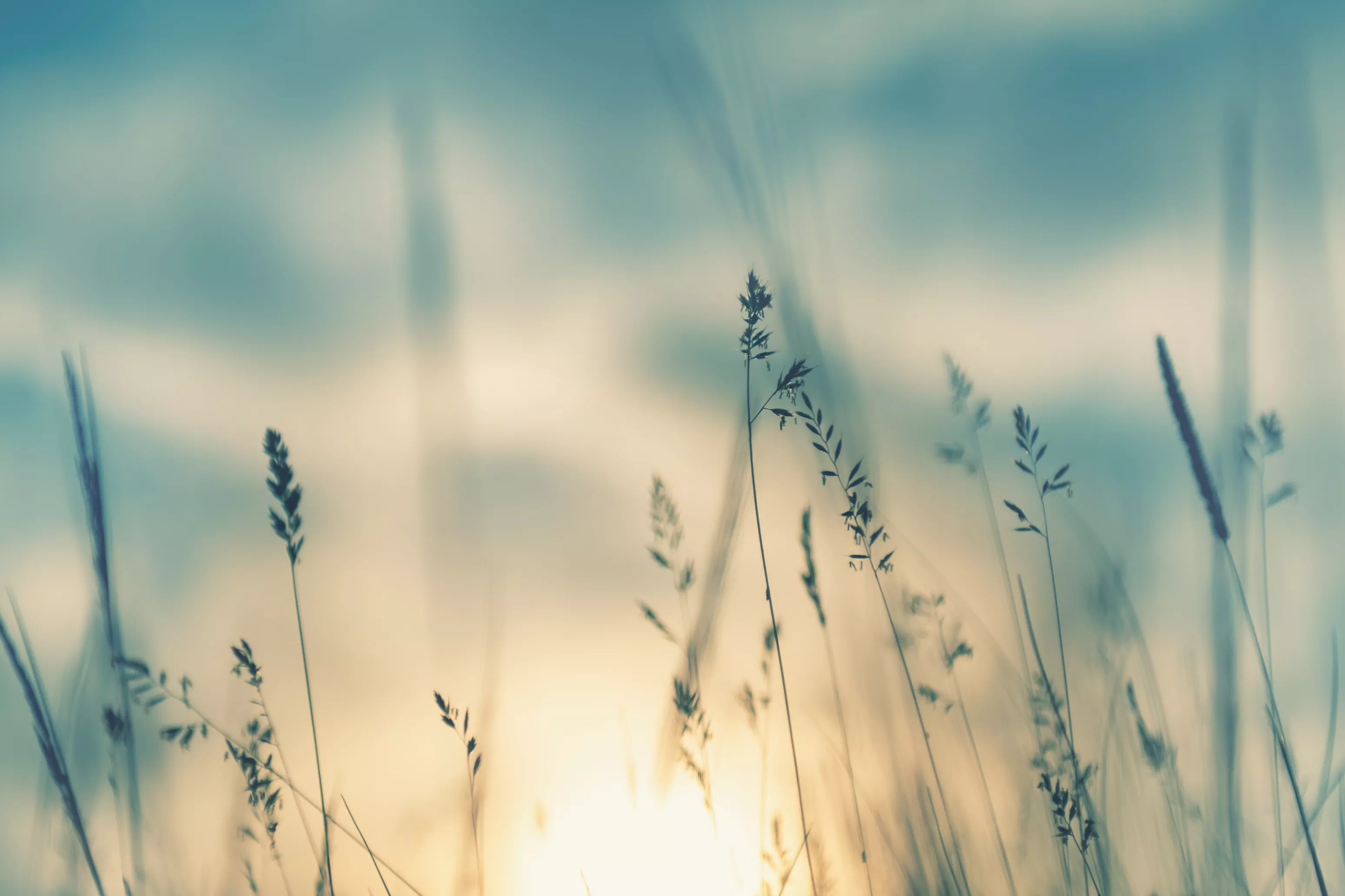 adobestock-357854155